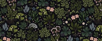 majesstik01 thumbnail