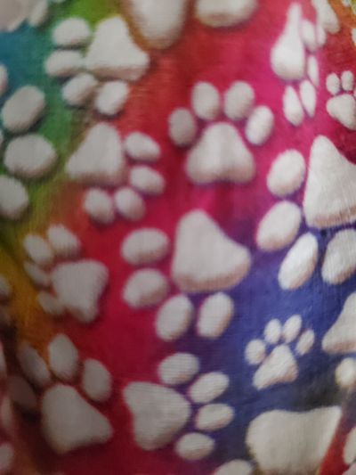 thespiciestofu profile