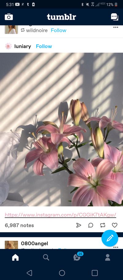 dezie_dezie thumbnail