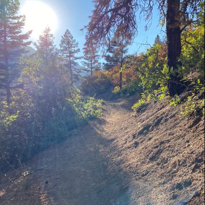 rubys_privates thumbnail