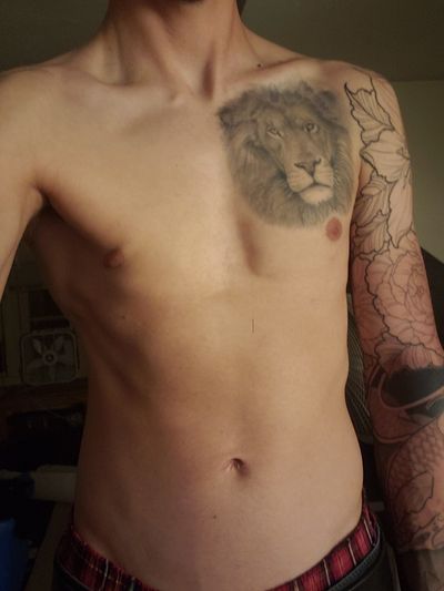 wild.ambitions profile