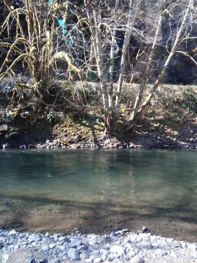 bigbitch001 thumbnail