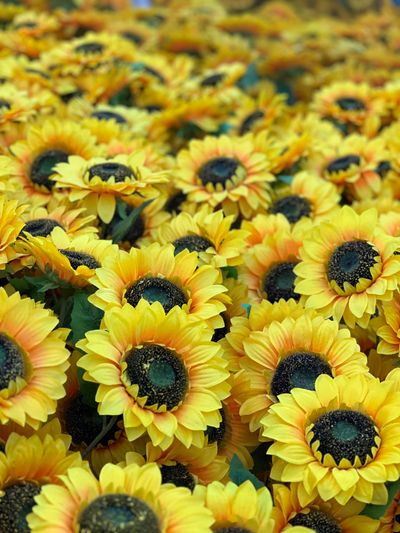 crimsonstar22 thumbnail