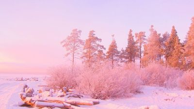 frostytomytoes thumbnail