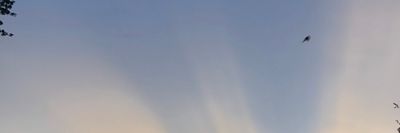 thickdadddyleg thumbnail