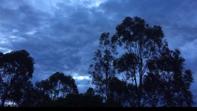 carolinepres thumbnail