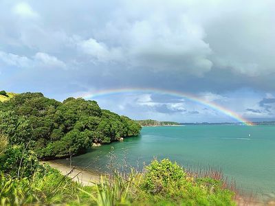 chubbie_kiwi thumbnail