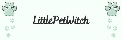 littlepetwitch thumbnail