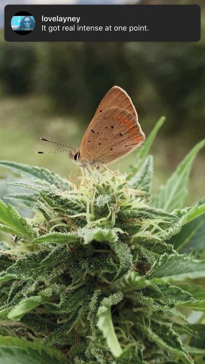 jaydensky20 thumbnail