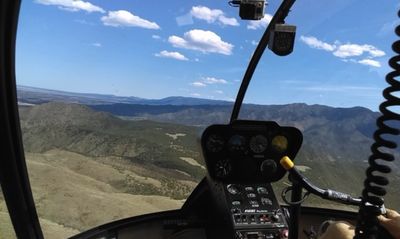 twilightgypsy thumbnail