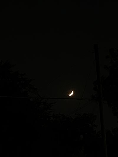 beesweetordie profile