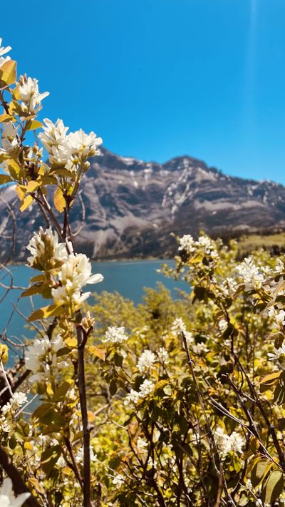 Kennedy May 😘 thumbnail