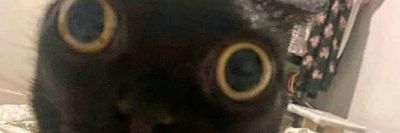 loonatixxx thumbnail