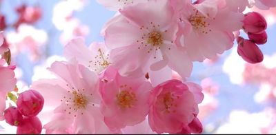 Roleplayers thumbnail