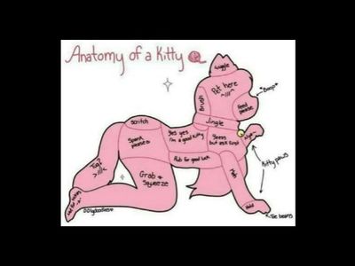 foxykitten97 thumbnail