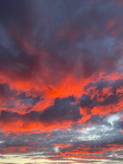 missblazexxx thumbnail