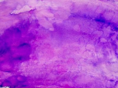 sofia.violet thumbnail