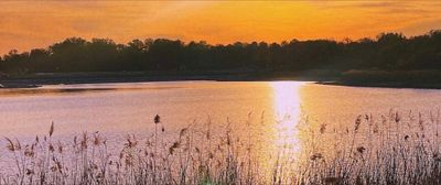 𝕸𝖎𝖘𝖘 𝕮𝖔𝖈𝖔 𝐕𝐈𝐏 🐻🎀 thumbnail