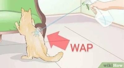 emmalyne.exe thumbnail