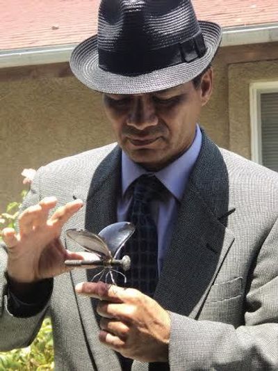 coachellaartist profile