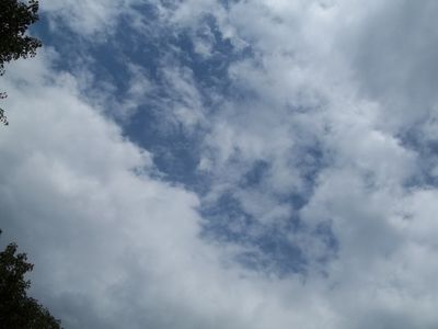 th0tsnpr4yers thumbnail