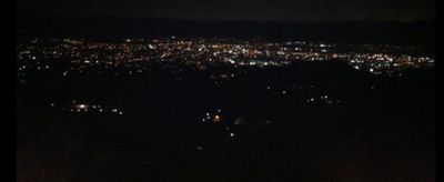 Playboy stallion thumbnail