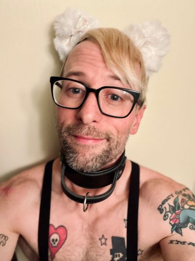 lazlopanaflax profile