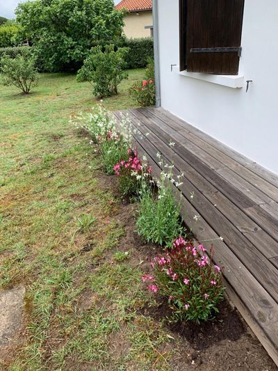 sunnynaturist thumbnail