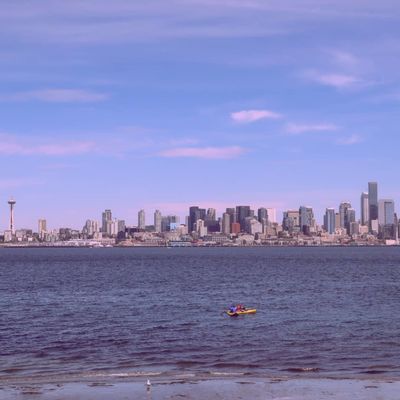 purpledildoh thumbnail