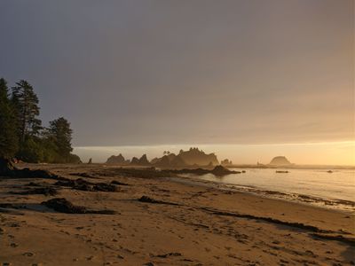 Buddo_Meat thumbnail