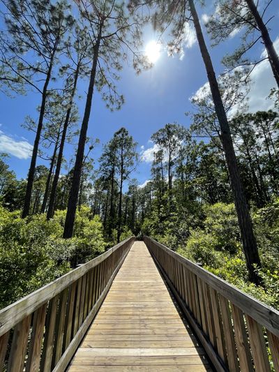 heyitsshane thumbnail