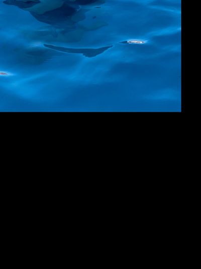 thickandtwisted profile