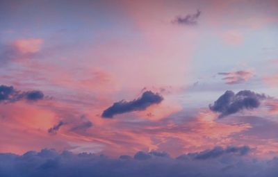 queen.bee.yarrow thumbnail