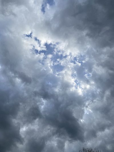 Pink Pumpkin thumbnail