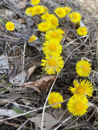 u167912785 thumbnail