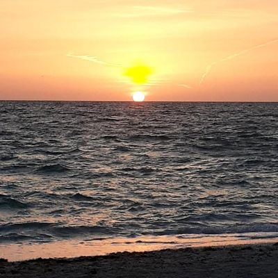 Pretty in camo thumbnail