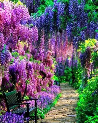 u227853950 thumbnail