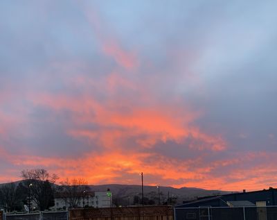 auroramariexxx thumbnail