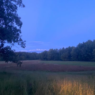 u212698955 thumbnail