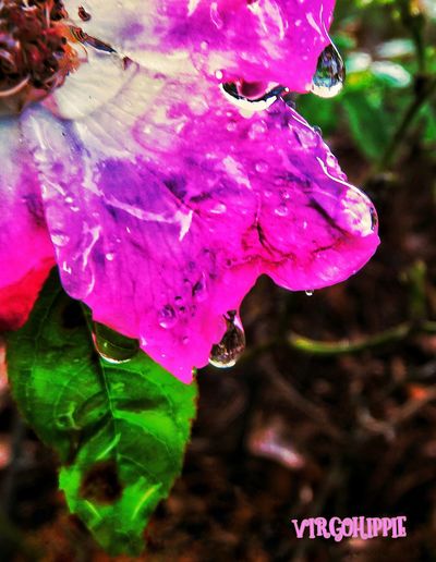 kuntastickink thumbnail