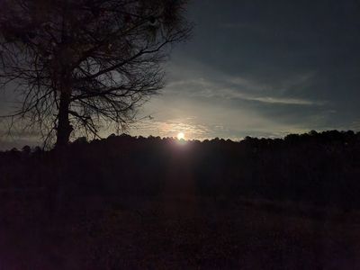 milkymissfox thumbnail