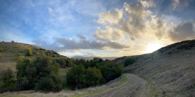 Joanna 🏳️‍⚧️ thumbnail