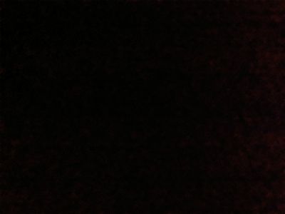 Simon Johnson profile