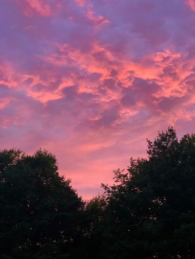 nowandforevermore thumbnail