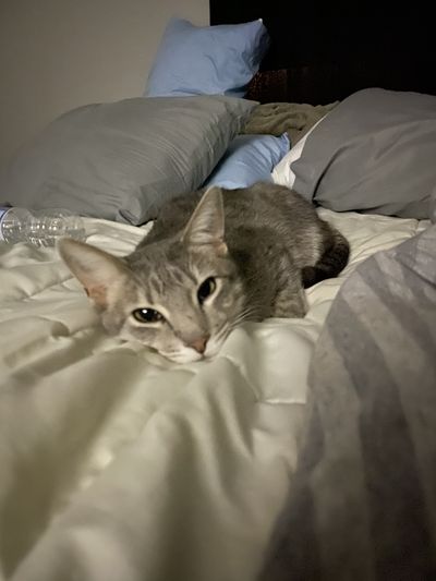 dizzykenzi thumbnail