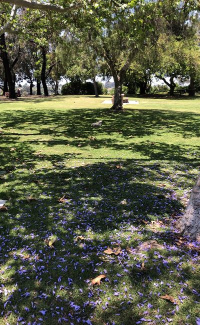 shayna0007 thumbnail