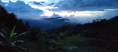 stickywolfy thumbnail