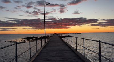 chicken.saltx thumbnail