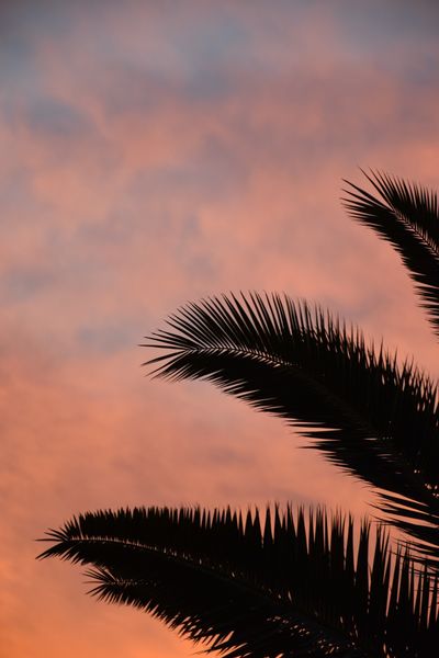 raysunshine4464 thumbnail