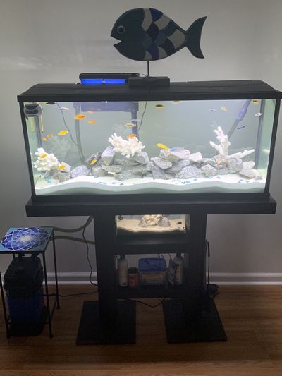 BHweStraight thumbnail